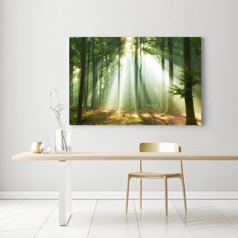 Leinwandbild morgendliches licht im wald – Wallnifity® Leinwandbild morgendliches licht im wald – Wallnifity®