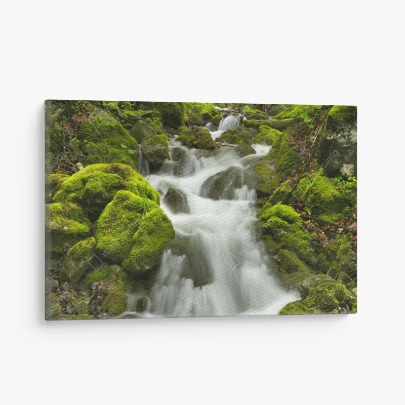 Leinwandbild moosiger wasserfall – Wallnifity® Leinwandbild moosiger wasserfall – Wallnifity®