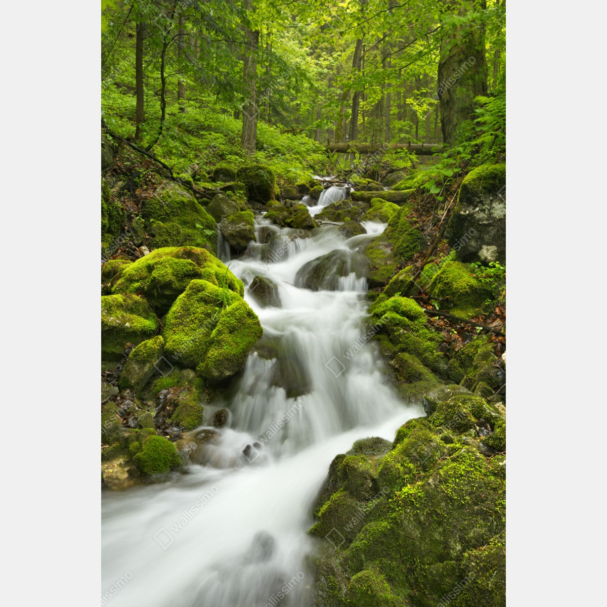 Leinwandbild moosiger wasserfall – Wallnifity® Leinwandbild moosiger wasserfall – Wallnifity®