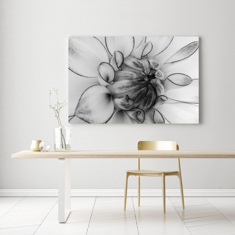 Leinwandbild monochrome nahaufnahme einer dahlie – Wallnifity® Leinwandbild monochrome nahaufnahme einer dahlie – Wallnifity®
