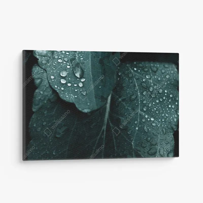 Leinwandbild Portland Head leuchtturm bei sonnenaufgang – Wallnifity®