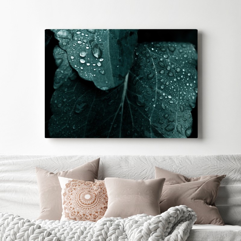 Leinwandbild tautropfen auf blättern – Wallnifity® Leinwandbild tautropfen auf blättern – Wallnifity®
