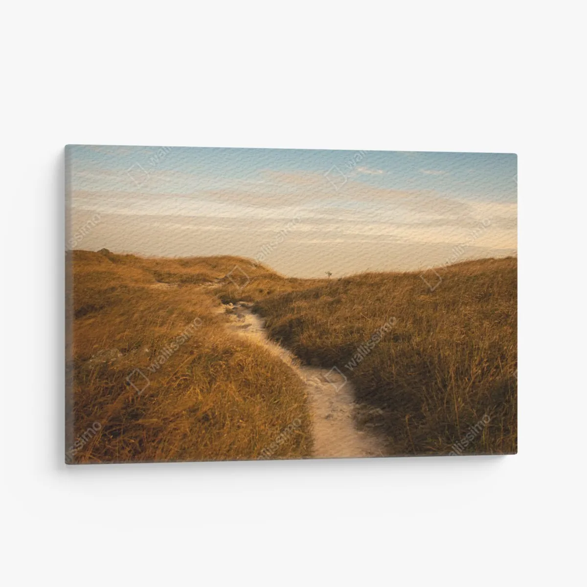 Leinwandbild sonnenbeschienener weg durch die dünen – Wallnifity® Leinwandbild sonnenbeschienener weg durch die dünen – Wallnifity®