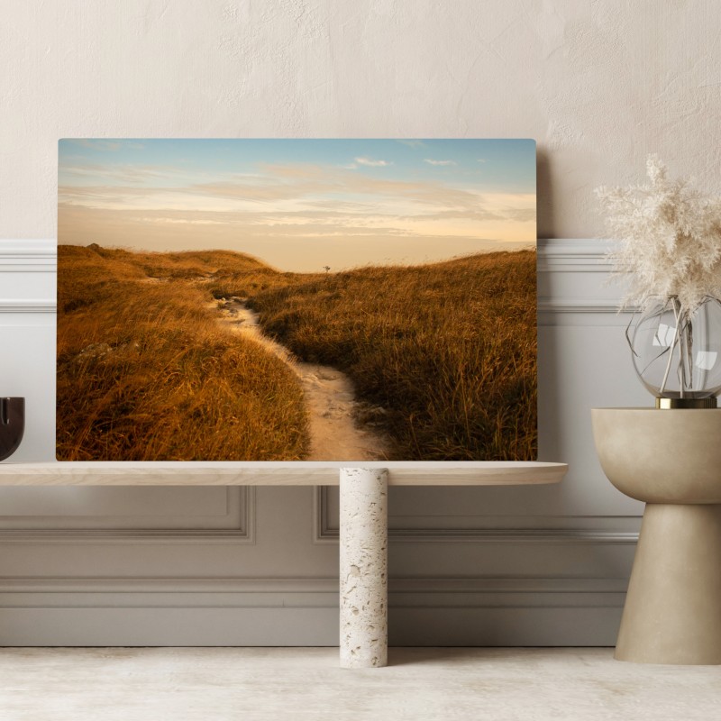 Leinwandbild sonnenbeschienener weg durch die dünen – Wallnifity® Leinwandbild sonnenbeschienener weg durch die dünen – Wallnifity®