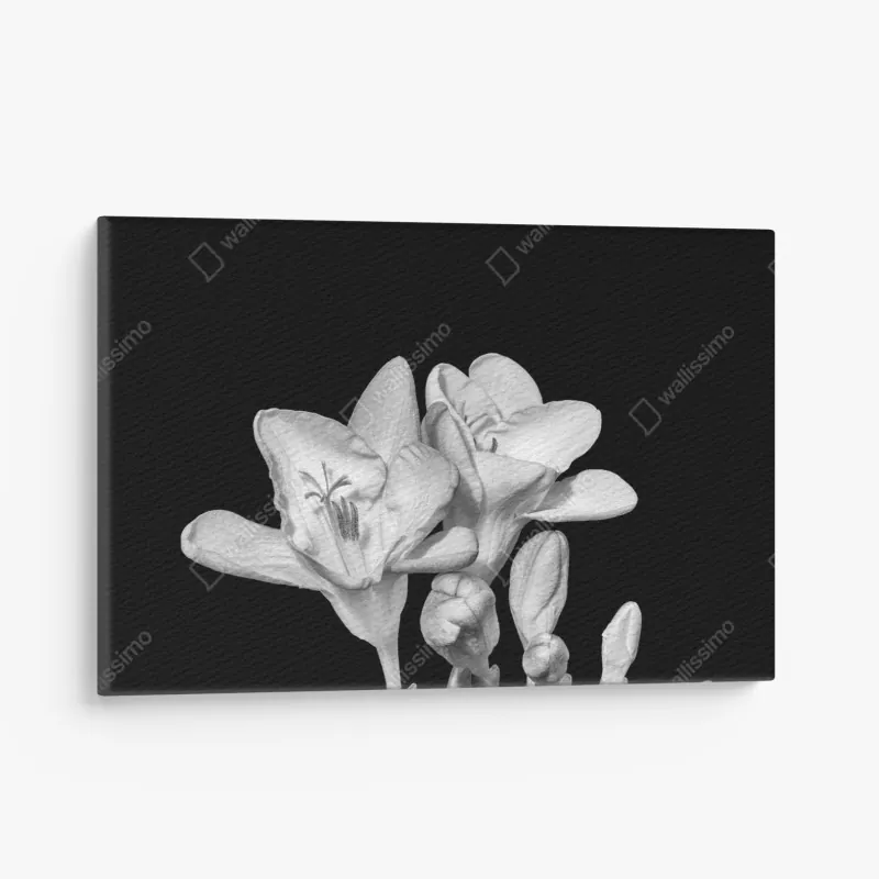 Leinwandbild eukalyptus aquarellblätter auf dunklem hintergrund – Wallnifity®