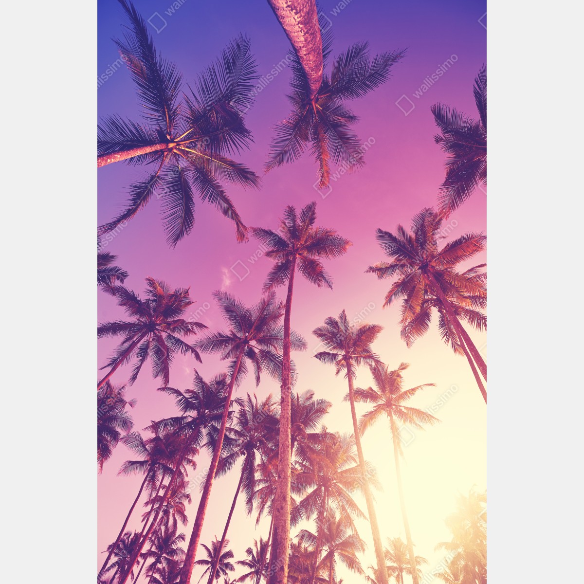 Leinwandbild tropische palmen beim sonnenuntergang – Wallnifity® Leinwandbild tropische palmen beim sonnenuntergang – Wallnifity®