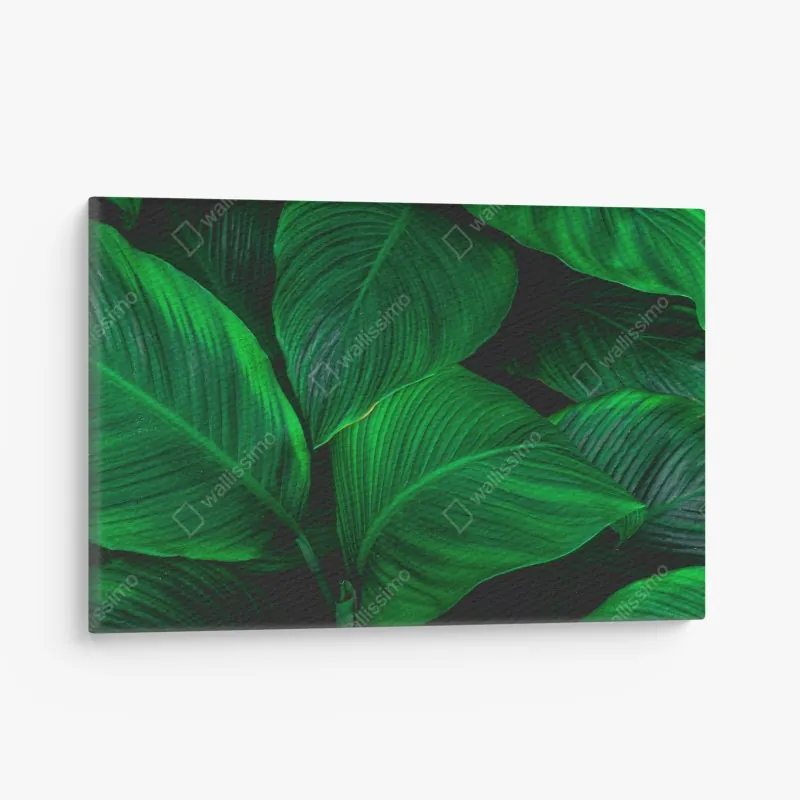 Leinwandbild strukturiertes trockenes blatt nahaufnahme – Wallnifity®