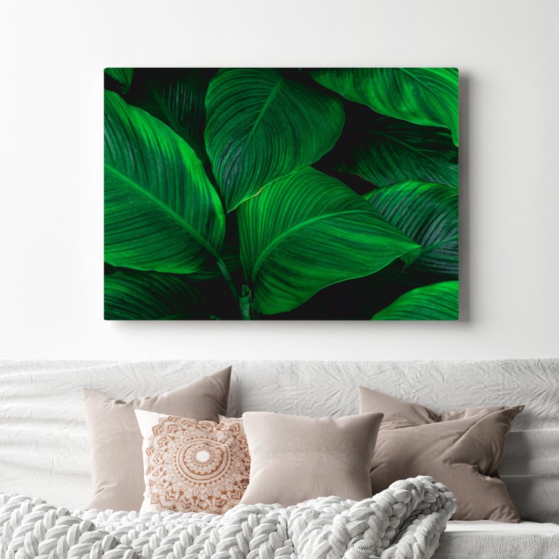 Leinwandbild üppige tropische blätter – Wallnifity® Leinwandbild üppige tropische blätter – Wallnifity®