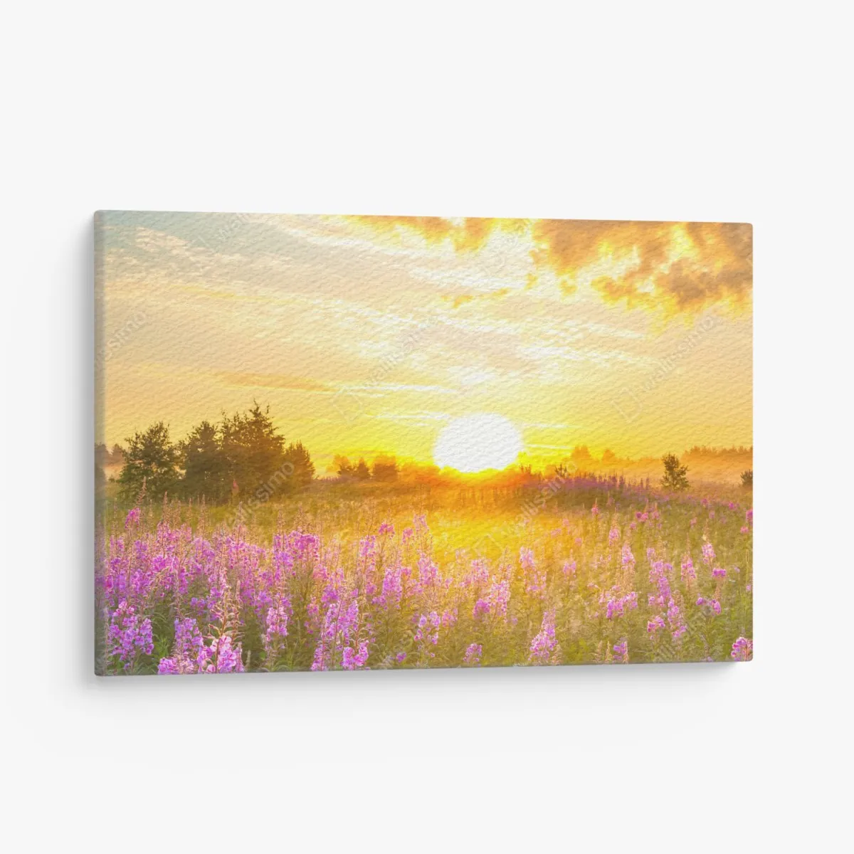 Leinwandbild sonnenaufgang über violetter wildblumenwiese – Wallnifity® Leinwandbild sonnenaufgang über violetter wildblumenwiese – Wallnifity®