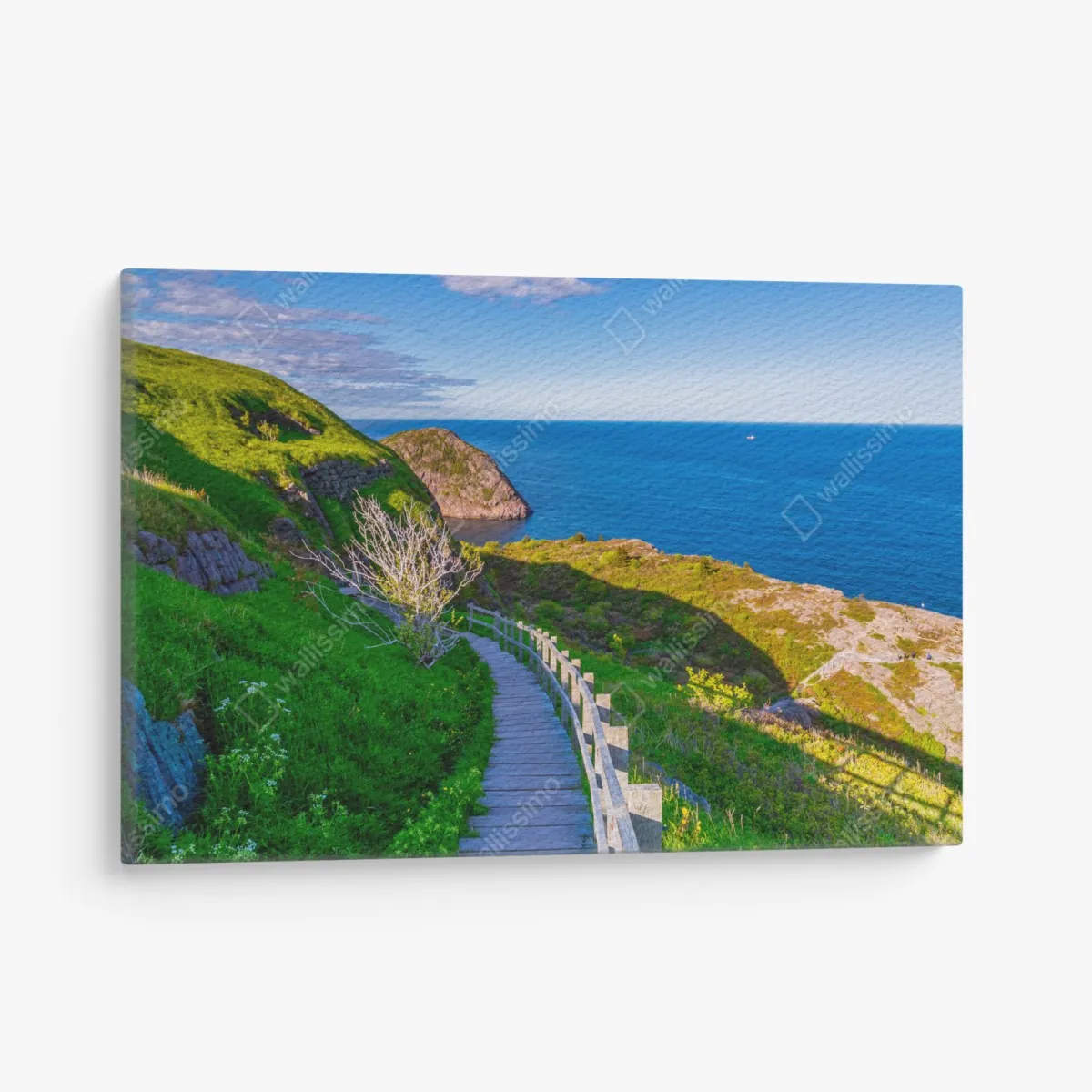 Leinwandbild küstenpfad mit blick auf das meer – Wallnifity® Leinwandbild küstenpfad mit blick auf das meer – Wallnifity®
