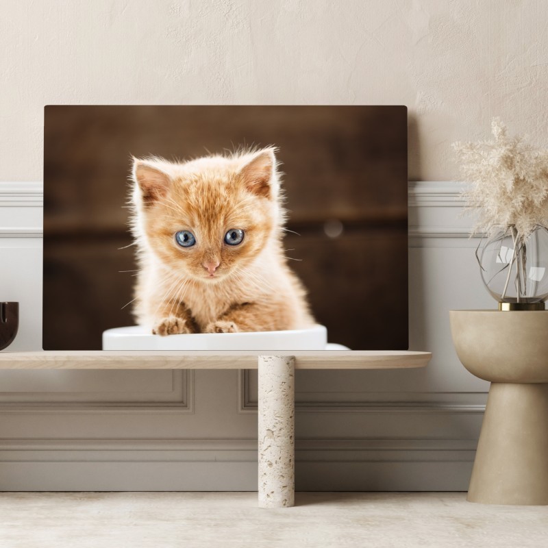 Leinwandbild rötliches kätzchen in einer teetasse – Wallnifity® Leinwandbild rötliches kätzchen in einer teetasse – Wallnifity®