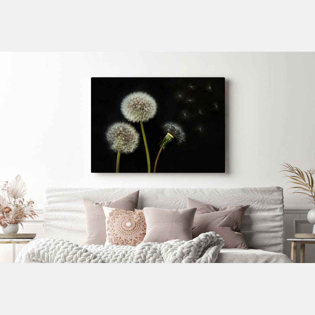 Leinwandbild zarte löwenzahnköpfe vor schwarzem hintergrund – Wallnifity®