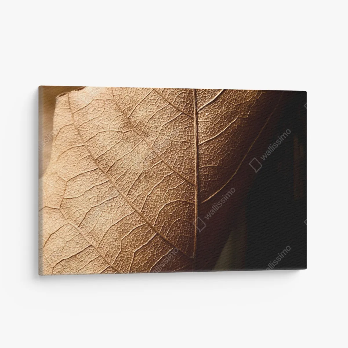Leinwandbild strukturiertes trockenes blatt nahaufnahme – Wallnifity®