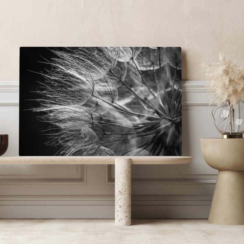 Leinwandbild zarter löwenzahn in monochrom – Wallnifity® Leinwandbild zarter löwenzahn in monochrom – Wallnifity®