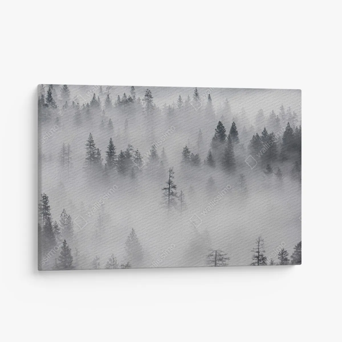 Leinwandbild nebeliger kiefernwald – Wallnifity® Leinwandbild nebeliger kiefernwald – Wallnifity®