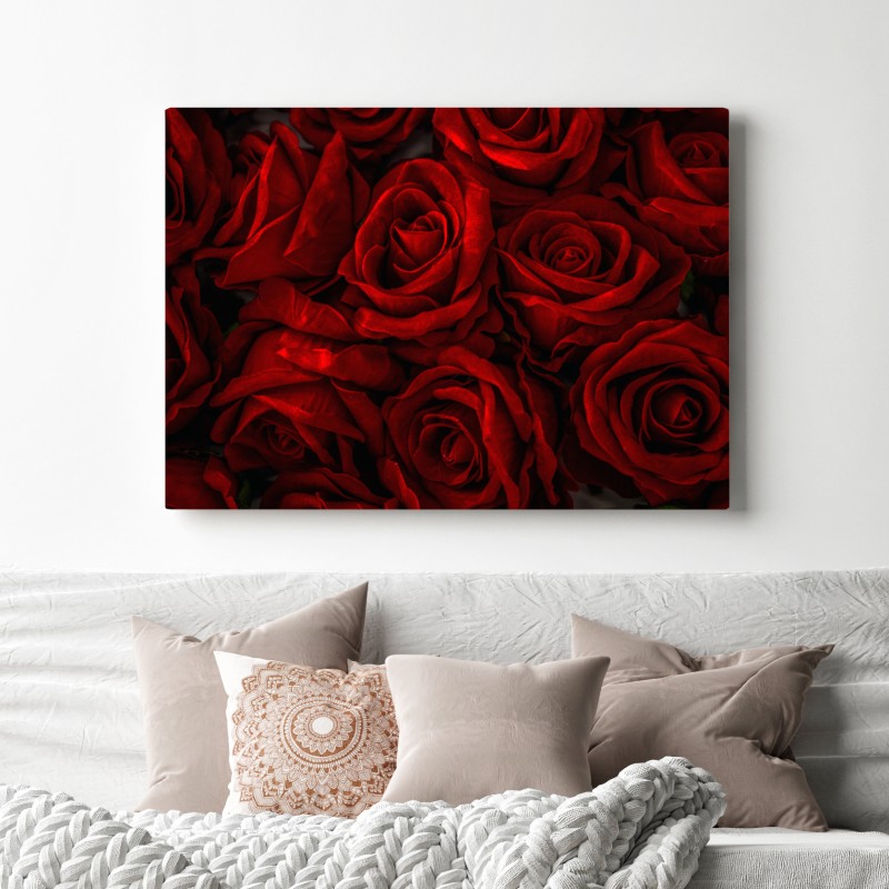 Leinwandbild intensive rote rosen nahaufnahme – Wallnifity®