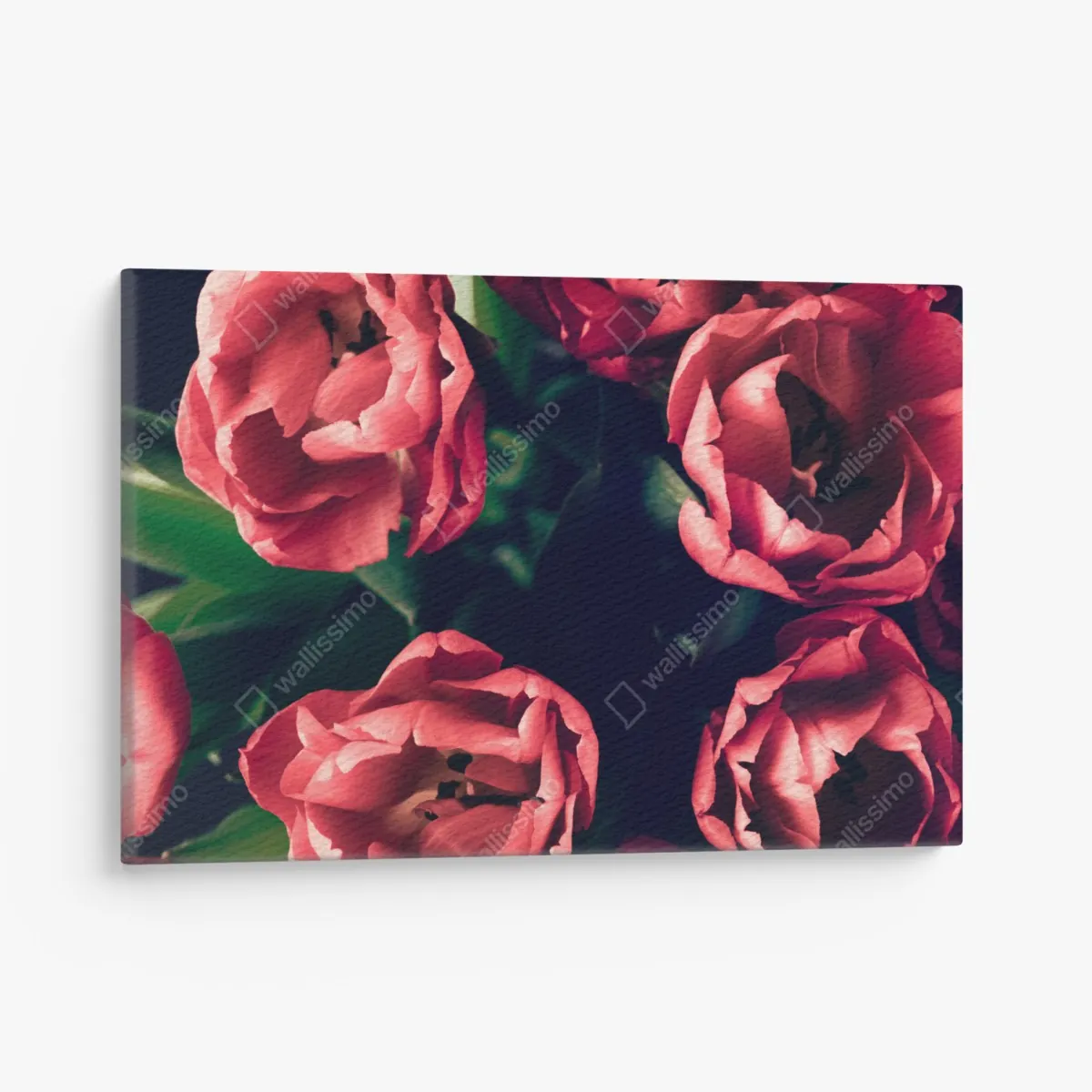 Leinwandbild stimmungsvolles rosa tulpenbukett – Wallnifity® Leinwandbild stimmungsvolles rosa tulpenbukett – Wallnifity®