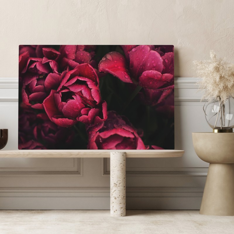 Leinwandbild tiefrote blüten mit wassertropfen – Wallnifity® Leinwandbild tiefrote blüten mit wassertropfen – Wallnifity®