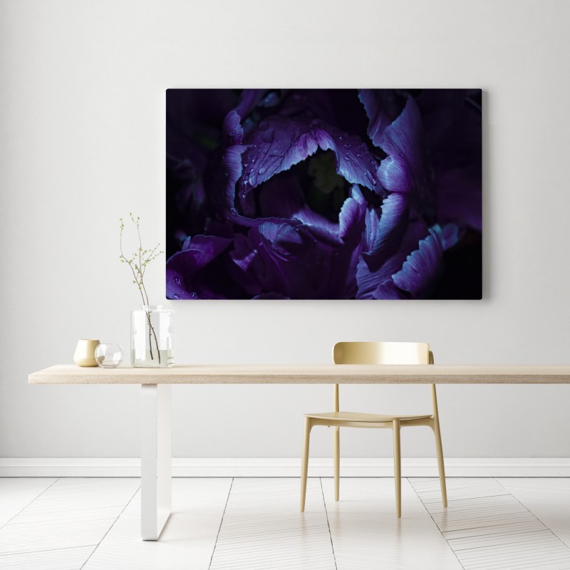 Leinwandbild lila tulpe im ultravioletten licht – Wallnifity® Leinwandbild lila tulpe im ultravioletten licht – Wallnifity®