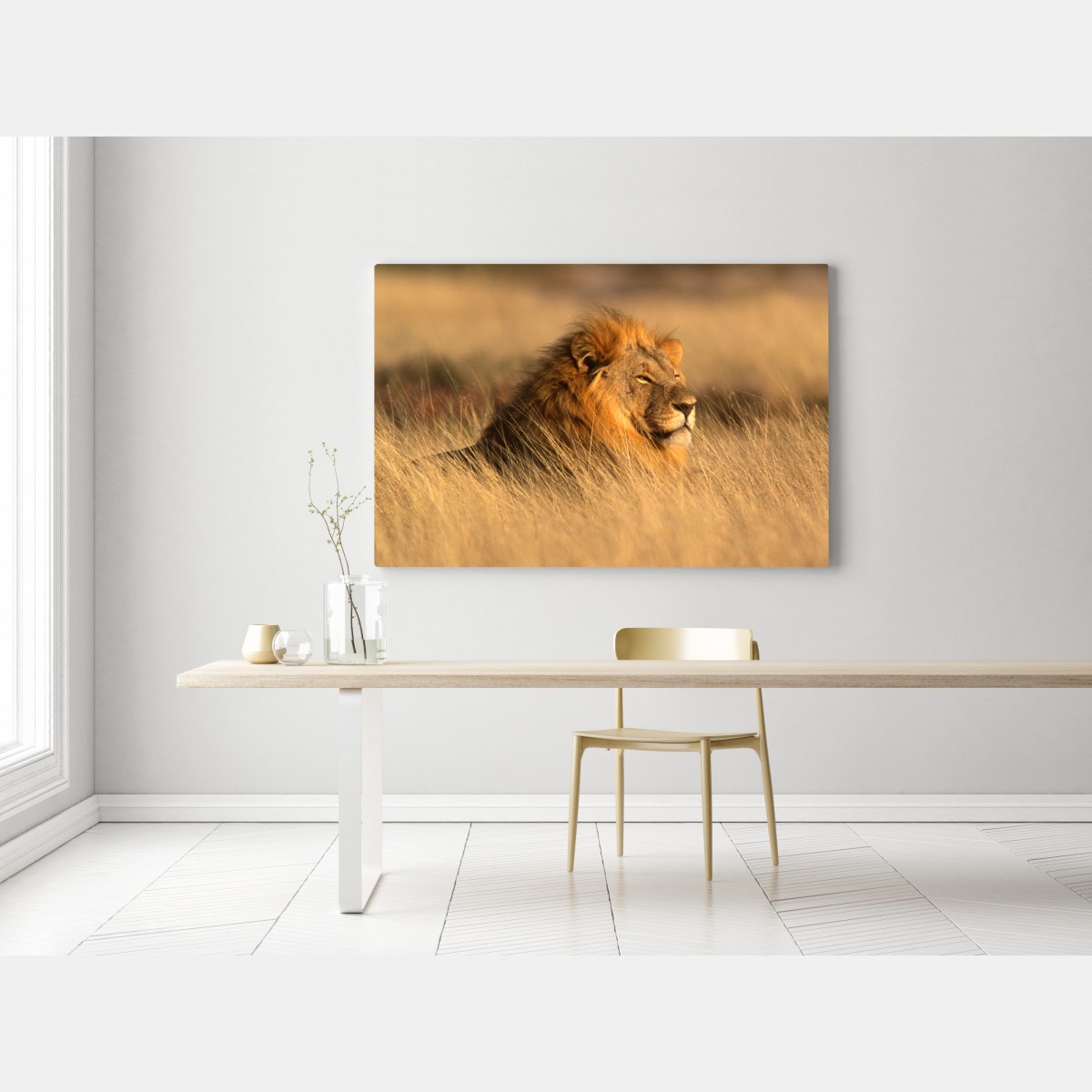 Leinwandbild majestätischer löwe im hohen gras – Wallnifity®