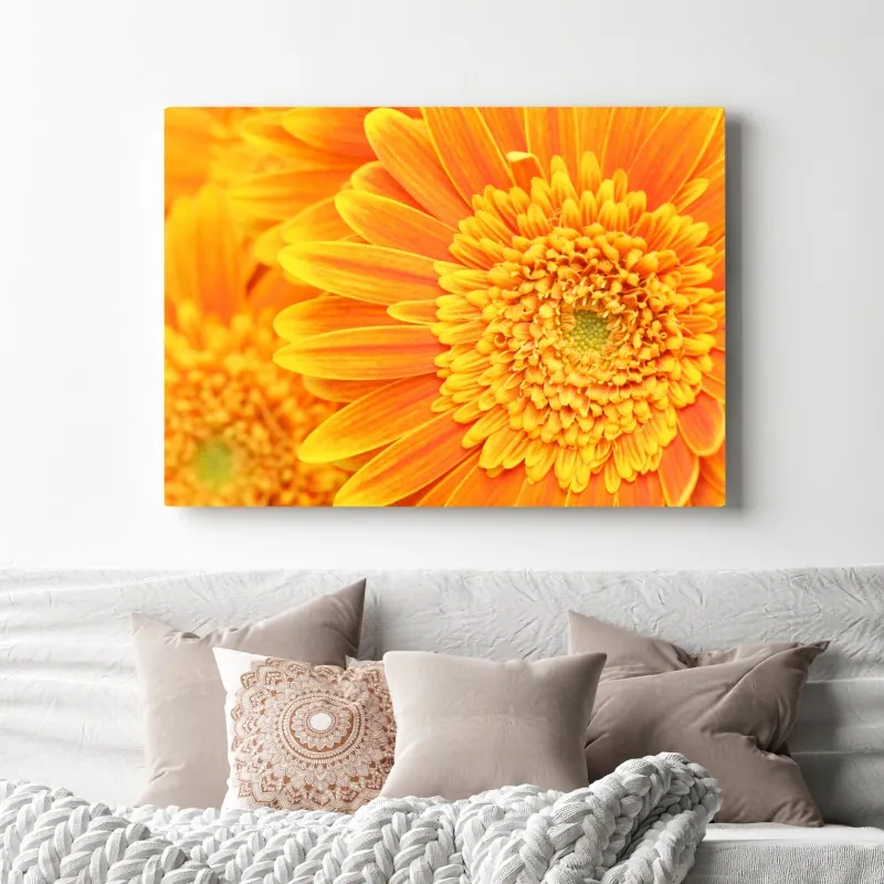 Leinwandbild leuchtende orange gerbera in makro – Wallnifity®