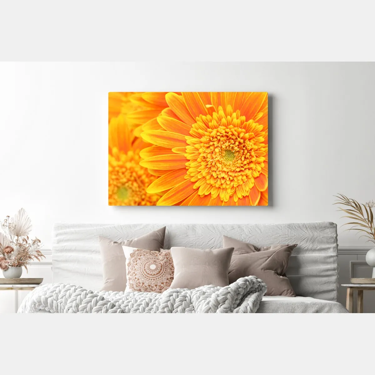 Leinwandbild leuchtende orange gerbera in makro – Wallnifity®