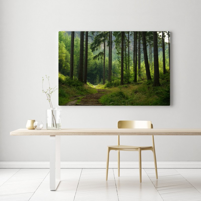 Leinwandbild ruhiger waldpfad – Wallnifity® Leinwandbild ruhiger waldpfad – Wallnifity®