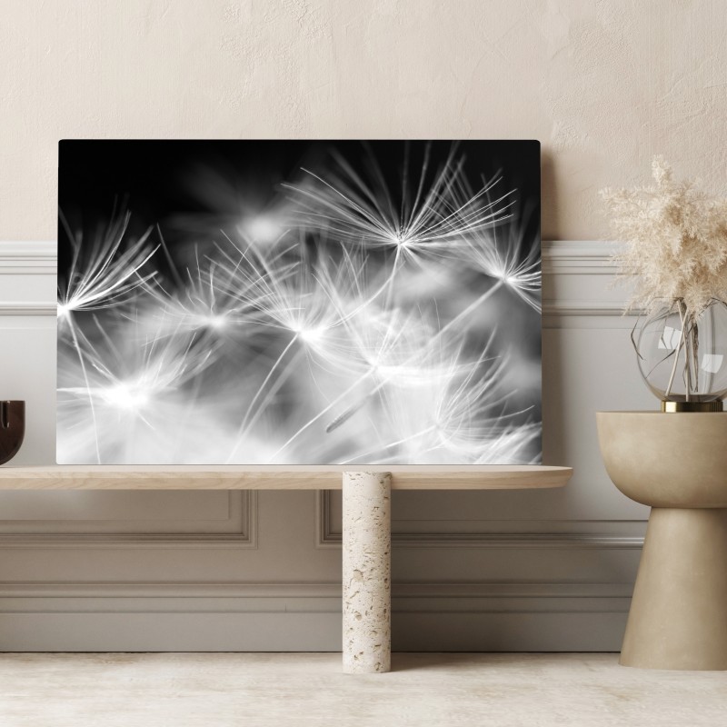 Leinwandbild zarte löwenzahnsamen in monochrom – Wallnifity® Leinwandbild zarte löwenzahnsamen in monochrom – Wallnifity®