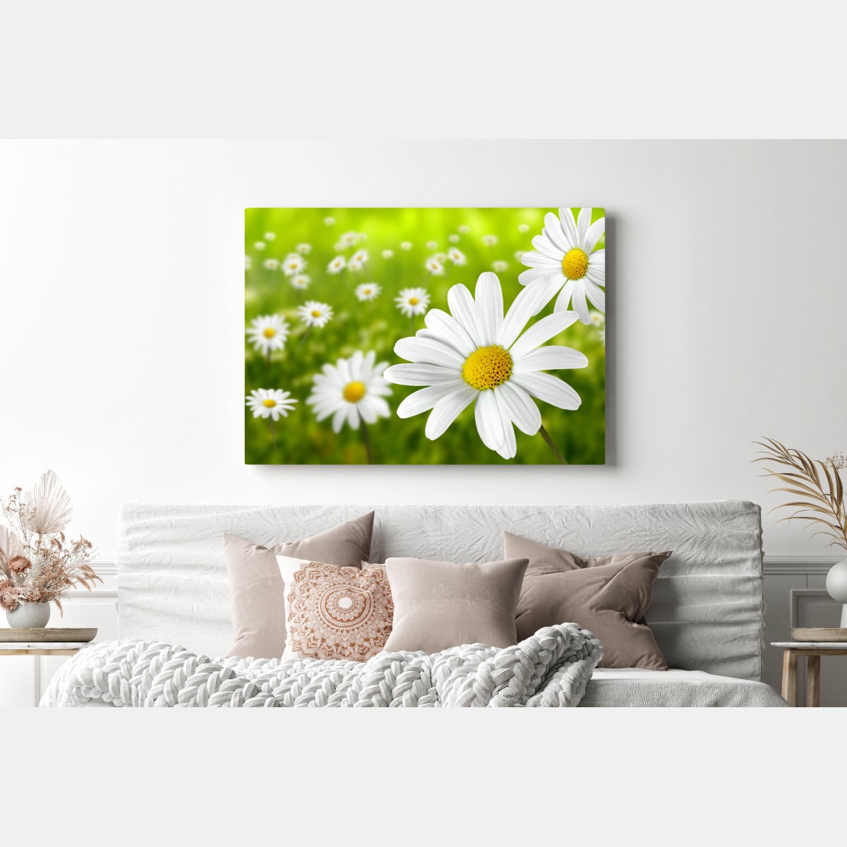 Leinwandbild weiße gänseblümchen auf der wiese – Wallnifity® Leinwandbild weiße gänseblümchen auf der wiese – Wallnifity®