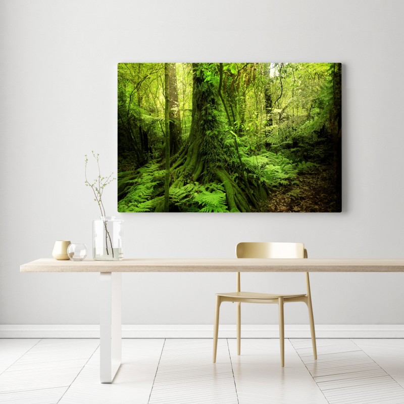 Leinwandbild üppiger tropischer dschungel – Wallnifity® Leinwandbild üppiger tropischer dschungel – Wallnifity®