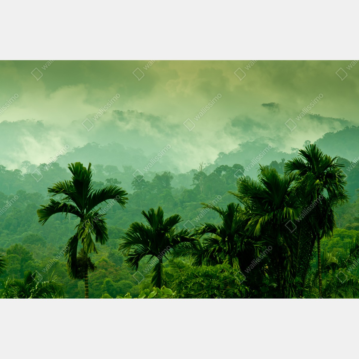 Leinwandbild neblige tropische dschungellandschaft – Wallnifity® Leinwandbild neblige tropische dschungellandschaft – Wallnifity®