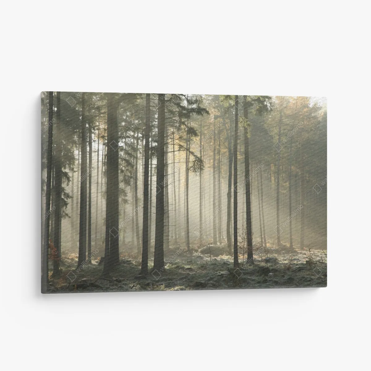 Leinwandbild nebliger morgenwald mit sonnenstrahlen – Wallnifity® Leinwandbild nebliger morgenwald mit sonnenstrahlen – Wallnifity®