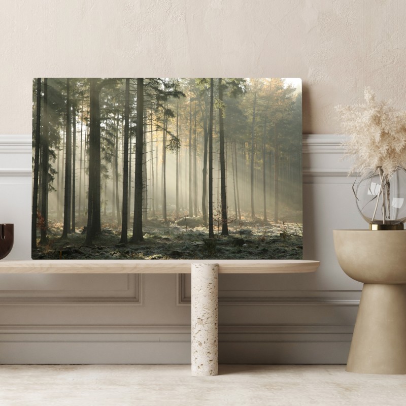 Leinwandbild nebliger morgenwald mit sonnenstrahlen – Wallnifity® Leinwandbild nebliger morgenwald mit sonnenstrahlen – Wallnifity®