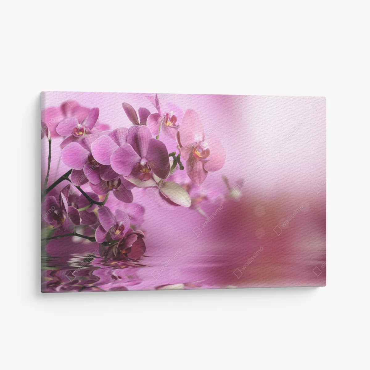 Leinwandbild rosa orchideen spiegelung – Wallnifity® Leinwandbild rosa orchideen spiegelung – Wallnifity®