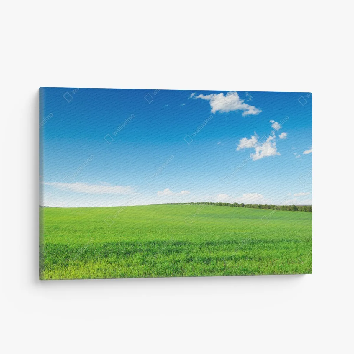 Leinwandbild ruhige grüne wiese unter blauem himmel – Wallnifity® Leinwandbild ruhige grüne wiese unter blauem himmel – Wallnifity®