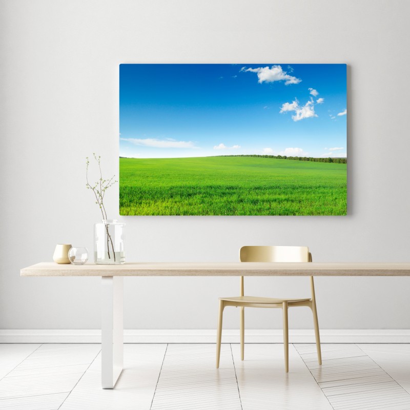 Leinwandbild ruhige grüne wiese unter blauem himmel – Wallnifity® Leinwandbild ruhige grüne wiese unter blauem himmel – Wallnifity®