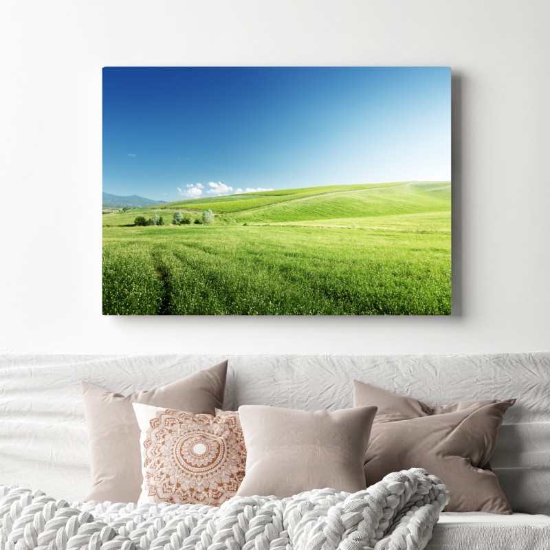 Leinwandbild ruhige grüne wiesenlandschaft – Wallnifity® Leinwandbild ruhige grüne wiesenlandschaft – Wallnifity®