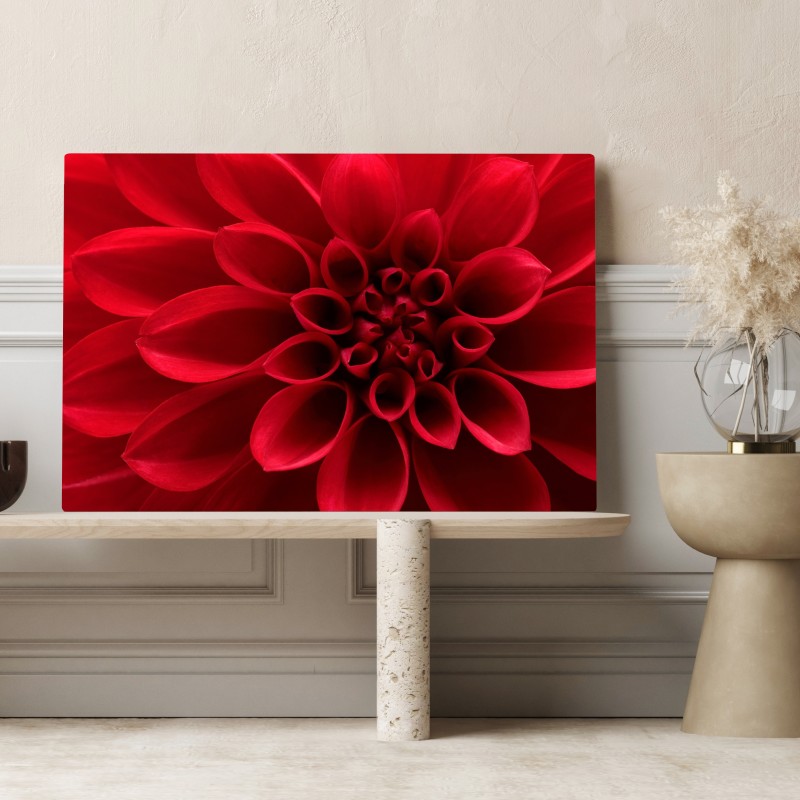 Leinwandbild nahaufnahme einer roten dahlie – Wallnifity® Leinwandbild nahaufnahme einer roten dahlie – Wallnifity®