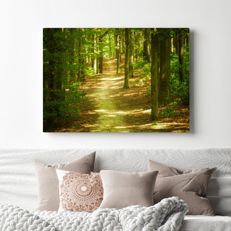 Leinwandbild sonniger waldpfad – Wallnifity® Leinwandbild sonniger waldpfad – Wallnifity®