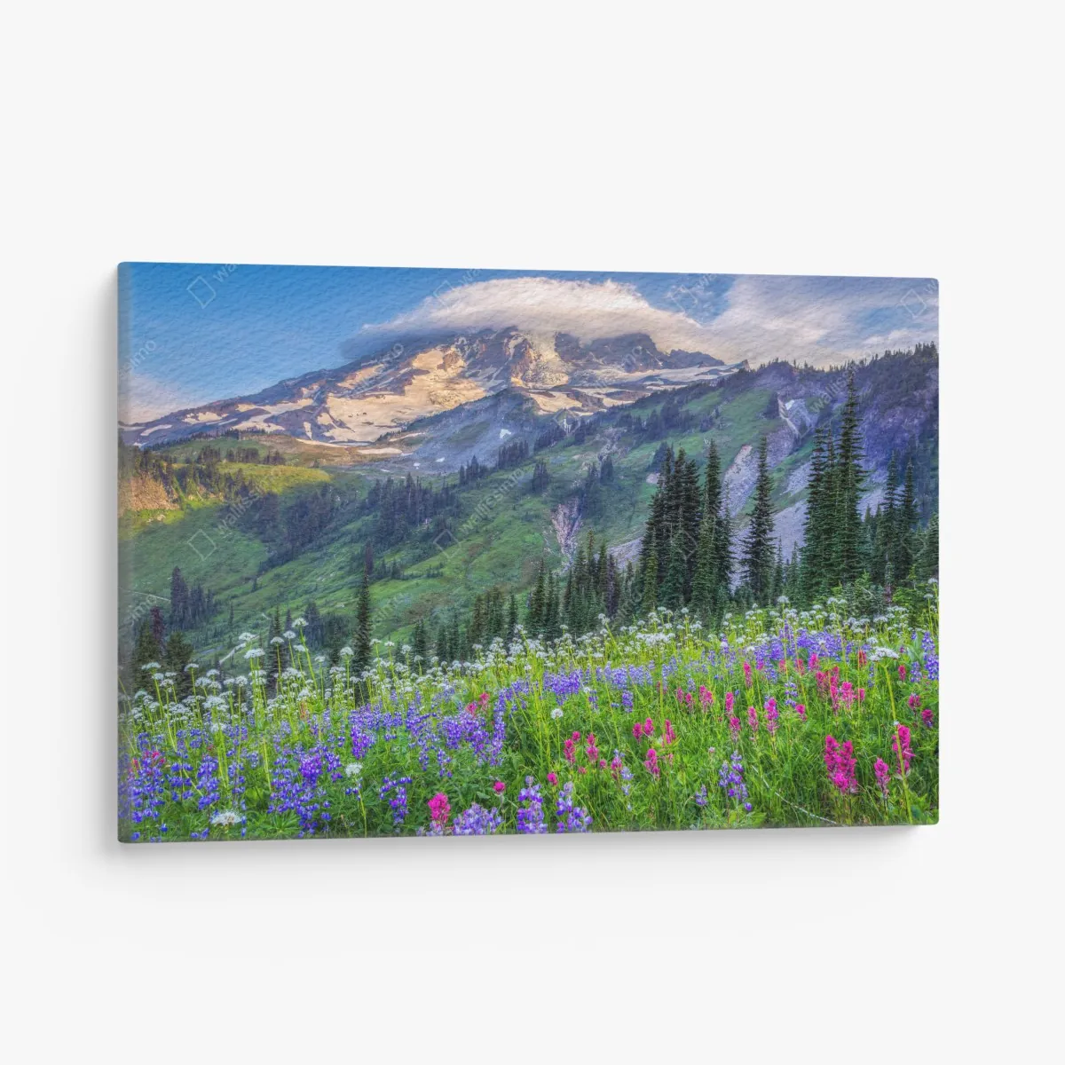 Leinwandbild alpine blumenwiese vor schneebedeckten bergen – Wallnifity® Leinwandbild alpine blumenwiese vor schneebedeckten bergen – Wallnifity®