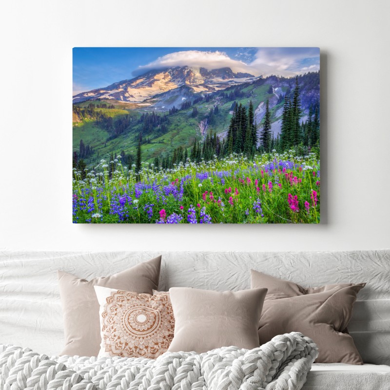 Leinwandbild alpine blumenwiese vor schneebedeckten bergen – Wallnifity® Leinwandbild alpine blumenwiese vor schneebedeckten bergen – Wallnifity®