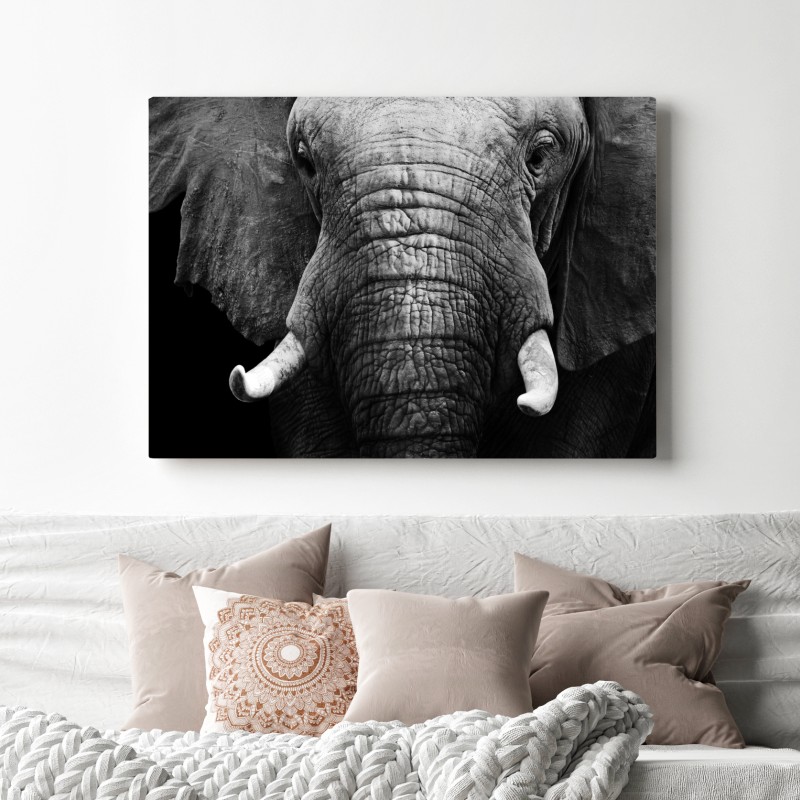 Leinwandbild majestätisches elefantenporträt – Wallnifity® Leinwandbild majestätisches elefantenporträt – Wallnifity®