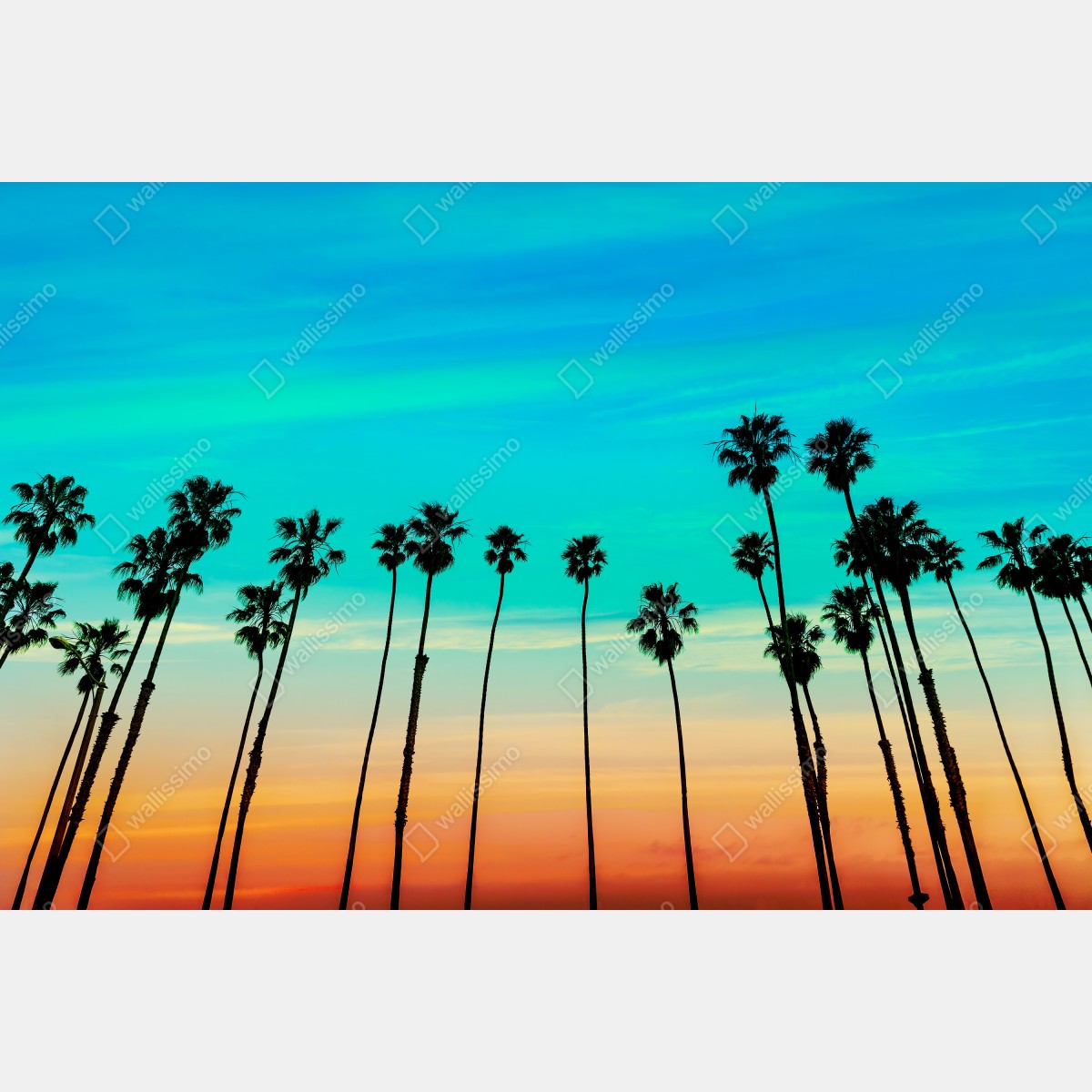 Leinwandbild palmen-silhouette bei sonnenuntergang in Kalifornien – Wallnifity® Leinwandbild palmen-silhouette bei sonnenuntergang in Kalifornien – Wallnifity®