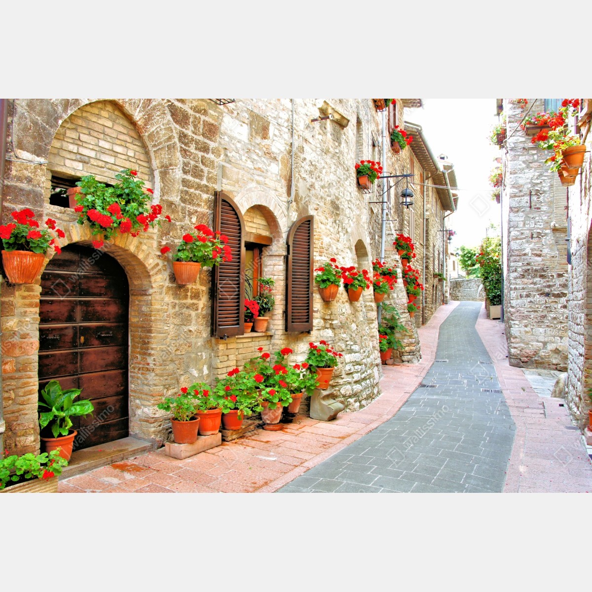 Leinwandbild sonnige steingasse mit roten geranien – Wallnifity® Leinwandbild sonnige steingasse mit roten geranien – Wallnifity®