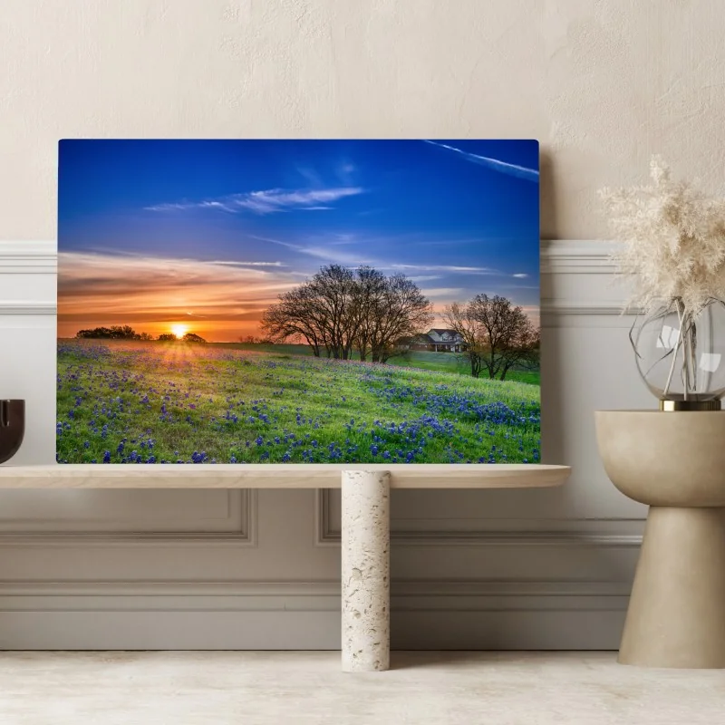 Leinwandbild Texas wiese mit bluebonnets im sonnenaufgang – Wallnifity® Leinwandbild Texas wiese mit bluebonnets im sonnenaufgang – Wallnifity®