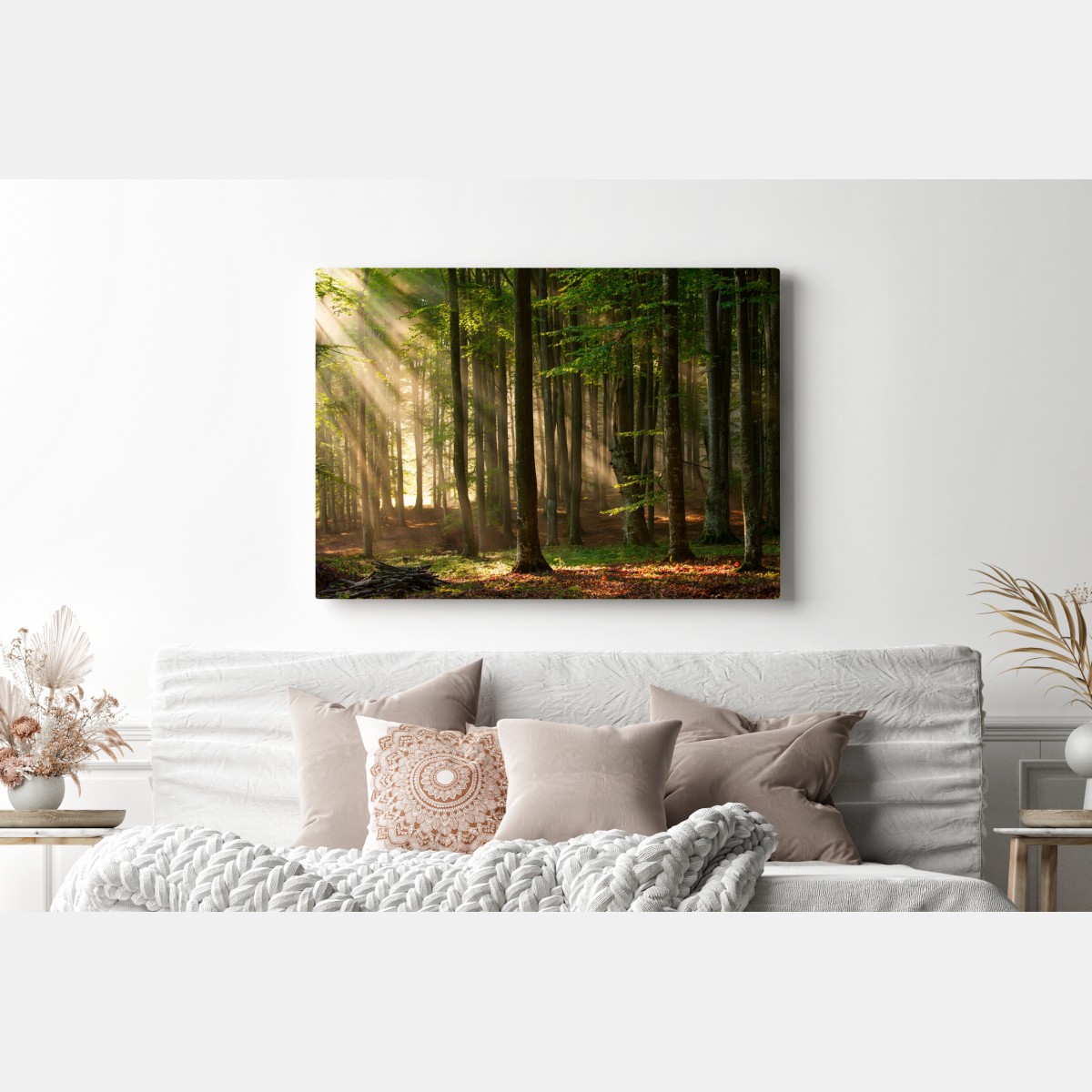 Leinwandbild morgendliches licht im buchenwald – Wallnifity® Leinwandbild morgendliches licht im buchenwald – Wallnifity®