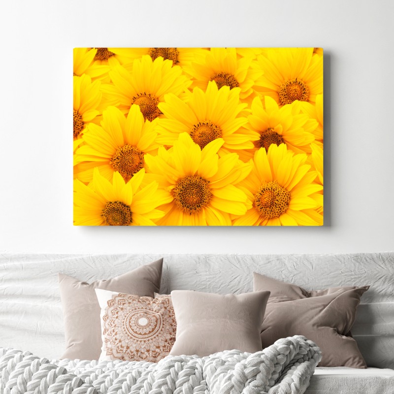 Leinwandbild leuchtende gelbe sonnenblumen in nahaufnahme – Wallnifity® Leinwandbild leuchtende gelbe sonnenblumen in nahaufnahme – Wallnifity®