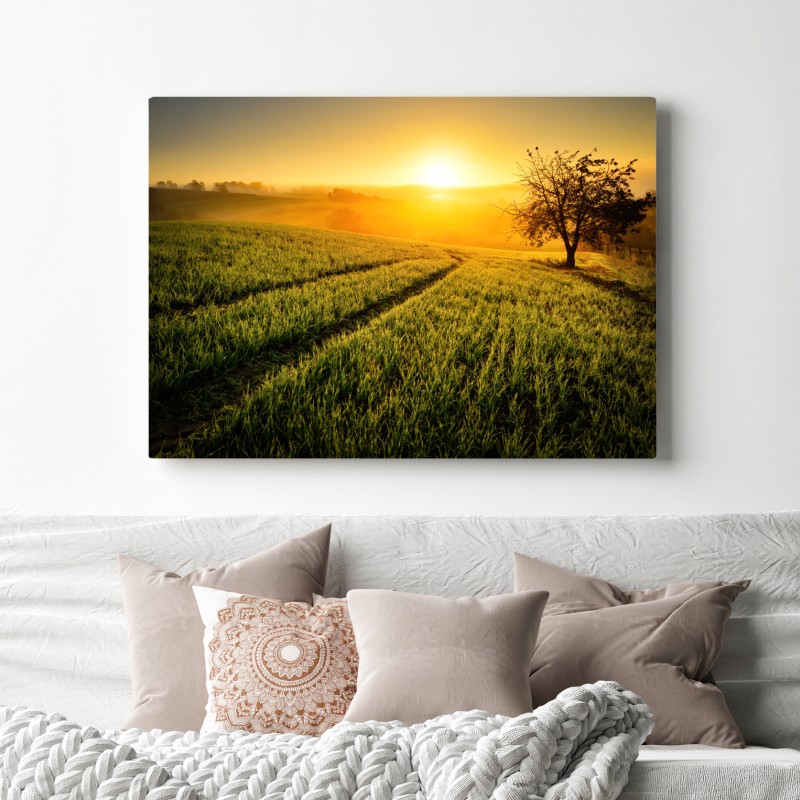 Leinwandbild sonnenbeschienene wiese im frühlicht – Wallnifity® Leinwandbild sonnenbeschienene wiese im frühlicht – Wallnifity®