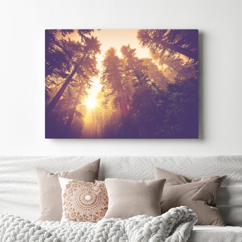 Leinwandbild nebeliger mamutbaumwald im goldenen vintagelicht – Wallnifity® Leinwandbild nebeliger mamutbaumwald im goldenen vintagelicht – Wallnifity®