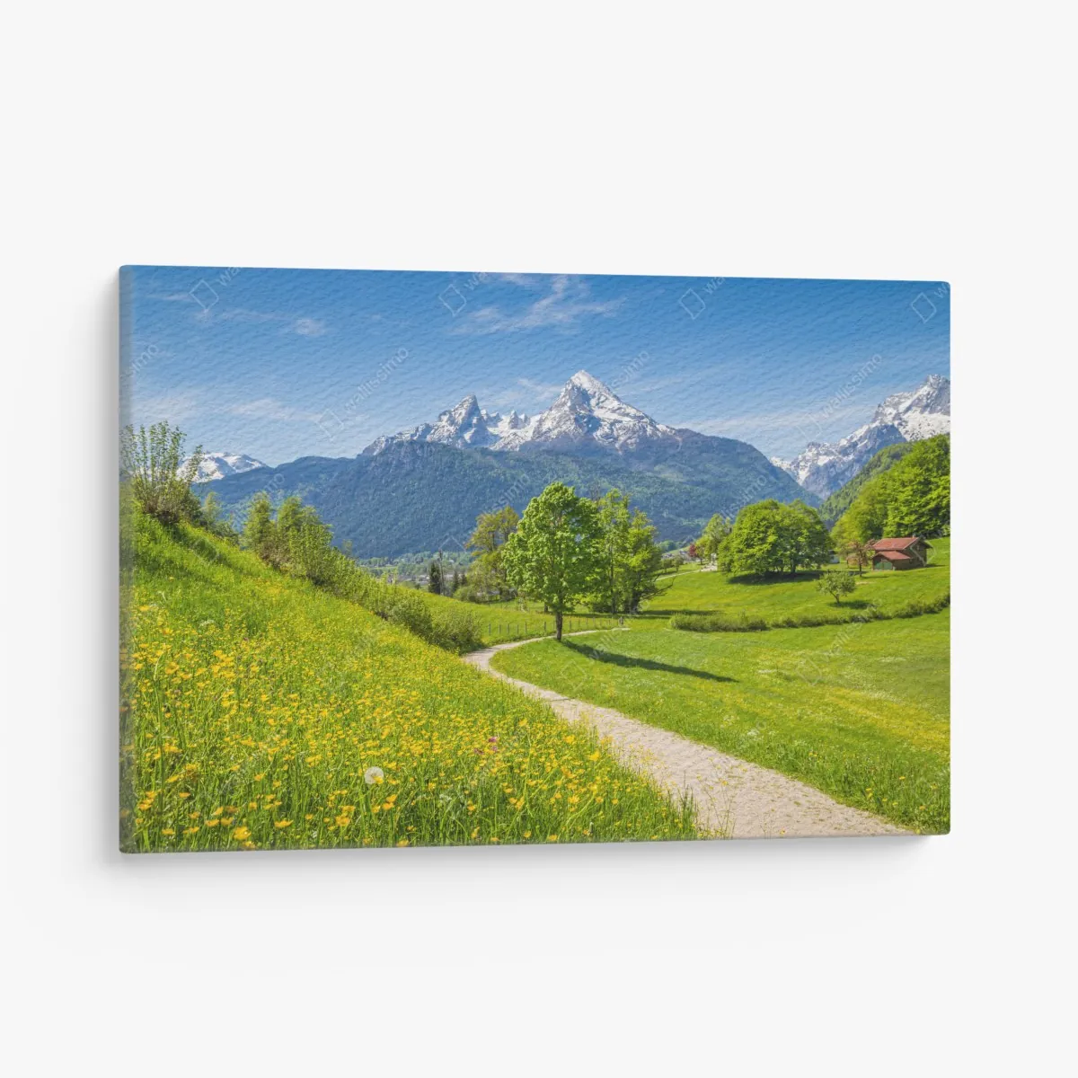 Leinwandbild alpine frühlingswiese mit schneebedeckten gipfeln – Wallnifity® Leinwandbild alpine frühlingswiese mit schneebedeckten gipfeln – Wallnifity®